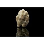 A ROMAN MARBLE FRAGMENT OF A LION Circa 1st-4th Century A.D. The foreparts of a lion, with a mane,