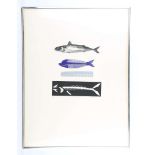 Mid 20th Century lithograph in colours, 'Fish to Comb', 1978, indistinctly signed, titled, dated and