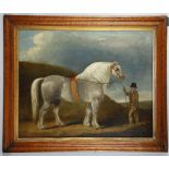 English school late 18th Century. Naive oil on canvas study of a large standing grey, in a landscape