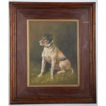 An oil painting study of a Jack Russell, in a dark wood frame, 39.5 x 30cm.