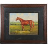 An oil painting study of a thoroughbred horse on open ground, in an oak frame, 29cm x 39cm