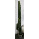 Composition model of a cactus 170 cm H