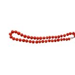 A coral necklace The single-strand of graduated off-round 8.3-10.5mm coral corallium rubrum beads,