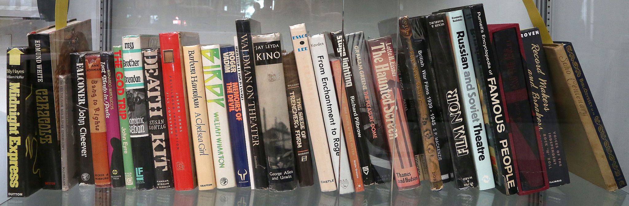 LITERATURE - A collection of books, including some works related to film and cinema. (qty)