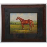 An oil painting study of a thoroughbred horse in a landscape, 29 x 39cm.