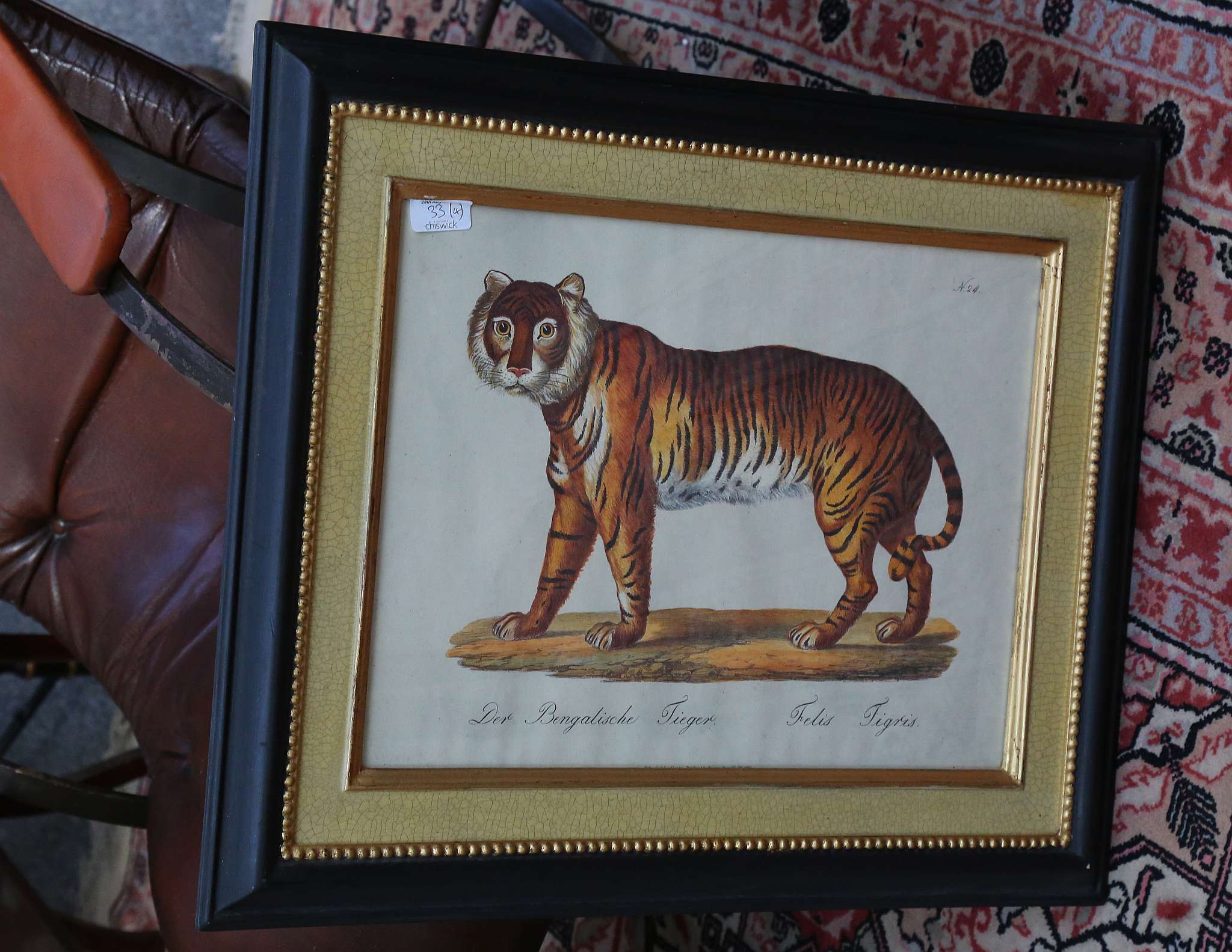 After the antique, a pair of coloured prints, Bengal Tiger and Lion 33 x 45 cms and a pair of - Image 2 of 4