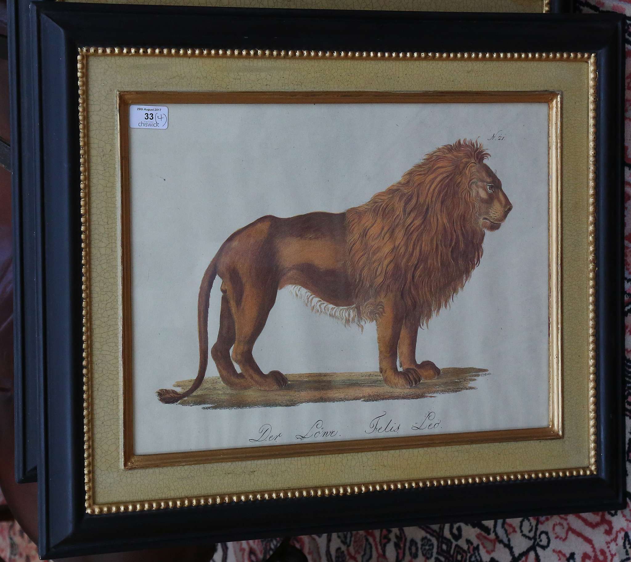 After the antique, a pair of coloured prints, Bengal Tiger and Lion 33 x 45 cms and a pair of