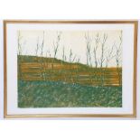 Daniel Lang, (American, b.1935), 'Casalone', 20th century coloured etching, signed, titled and AP in