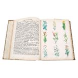 GREEN, Thomas. The Universal Herbal or, Botanical, Medical, and Agricultural Dictionary.