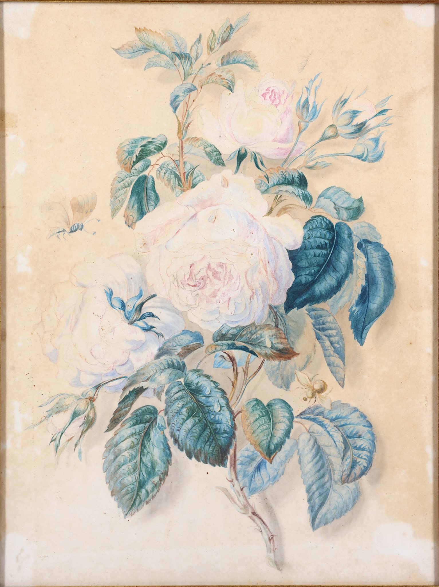 ENGLISH SCHOOL (19TH CENTURY). Botanical study of white roses, foxgloves and other wild flowers, - Image 5 of 8