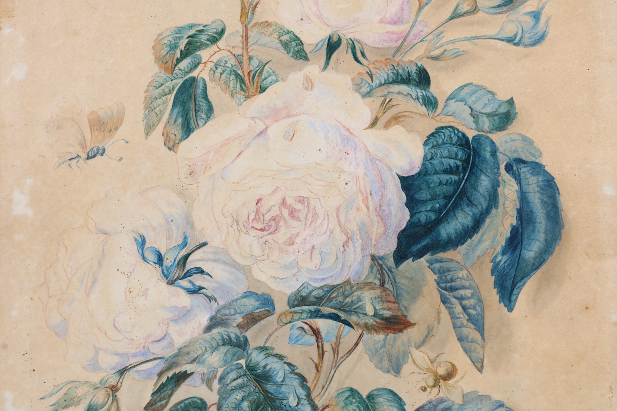 ENGLISH SCHOOL (19TH CENTURY). Botanical study of white roses, foxgloves and other wild flowers, - Image 7 of 8