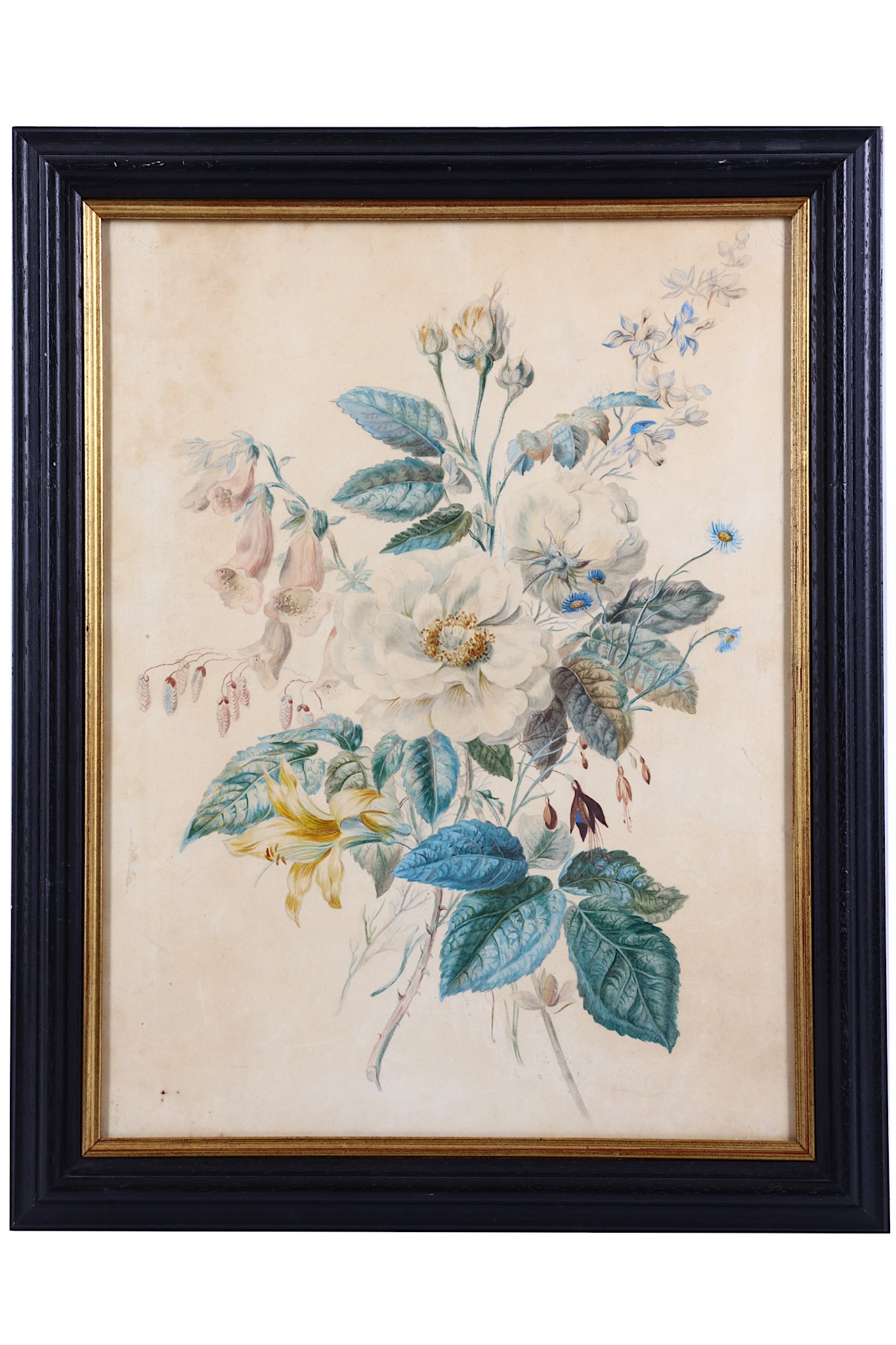 ENGLISH SCHOOL (19TH CENTURY). Botanical study of white roses, foxgloves and other wild flowers, - Image 2 of 8