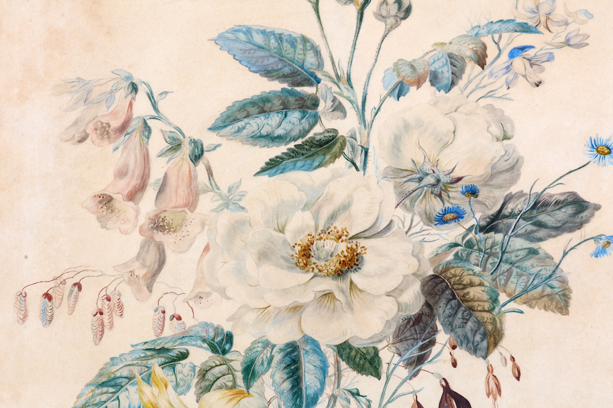 ENGLISH SCHOOL (19TH CENTURY). Botanical study of white roses, foxgloves and other wild flowers, - Image 3 of 8
