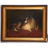 Late 19th Century British. 'Collie with Kittens'. Oil on milled board interior scene, two kittens at
