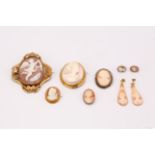 A collection of shell cameo jewellery, including five brooches and two pairs of earrings (5)