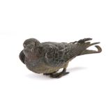 An Austrian cold painted bronze of a bird, c.1920's, 13.5cm long x 4.5cm high.