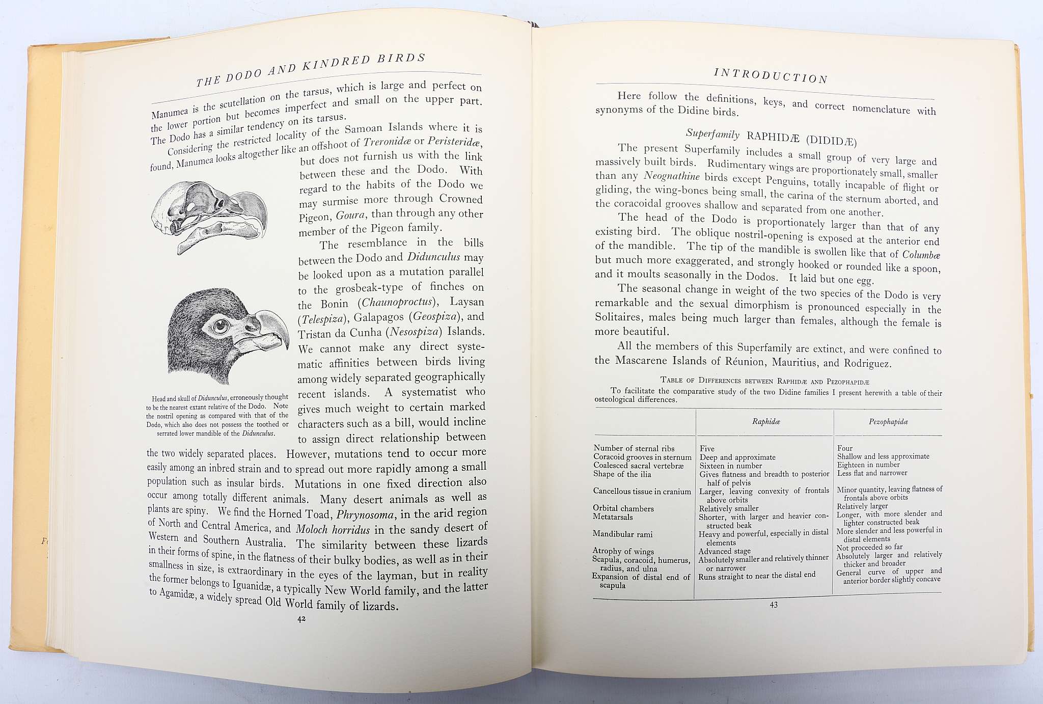 HACHISUKA, Masauji (1903-53).  The Dodo and Kindred Birds or The Extinct Birds of the Mascarene - Image 4 of 6