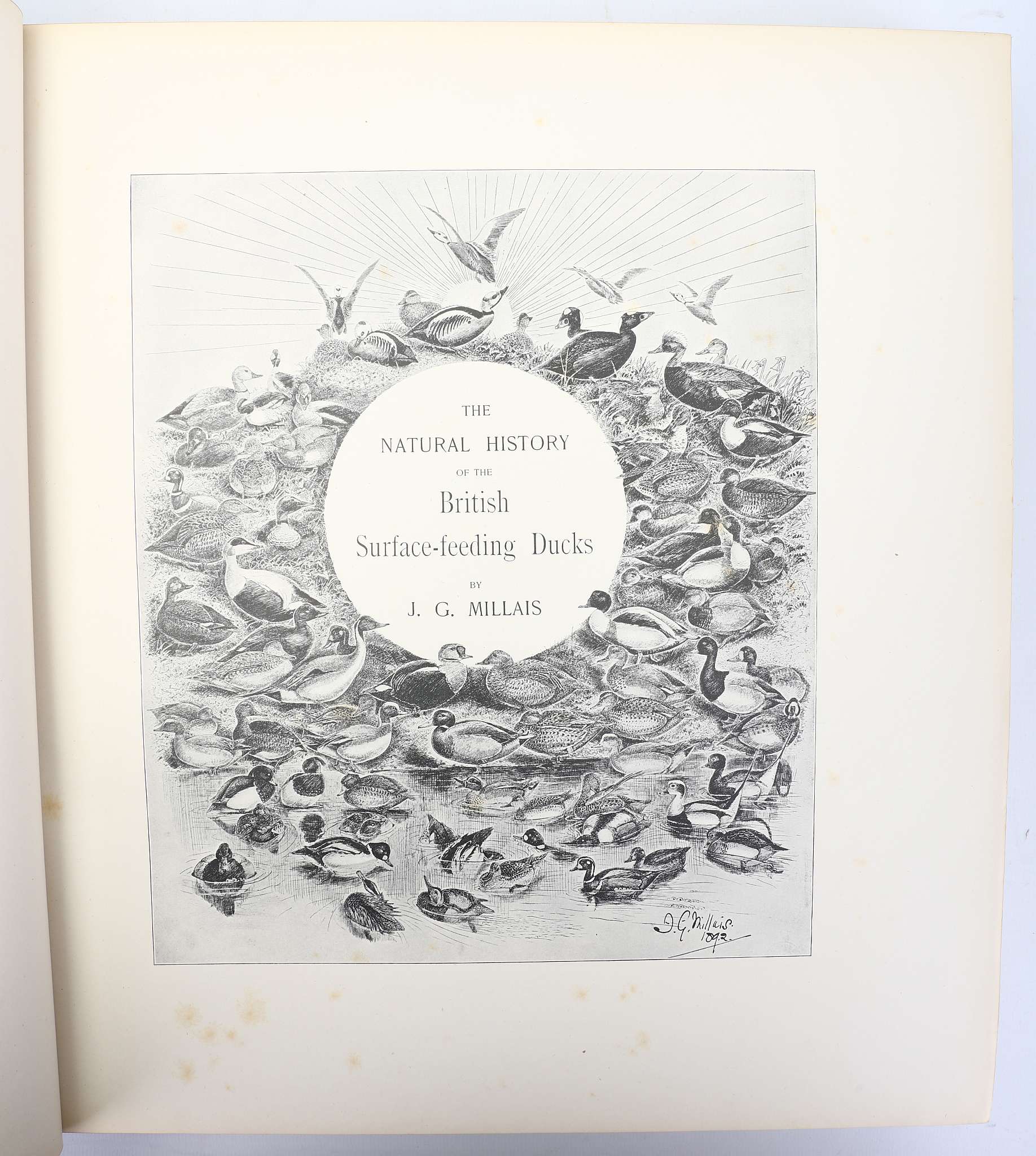 MILLAIS, John Guille (1865-1931).  The Natural History of the British Surface-Feeding Ducks. - Image 3 of 6