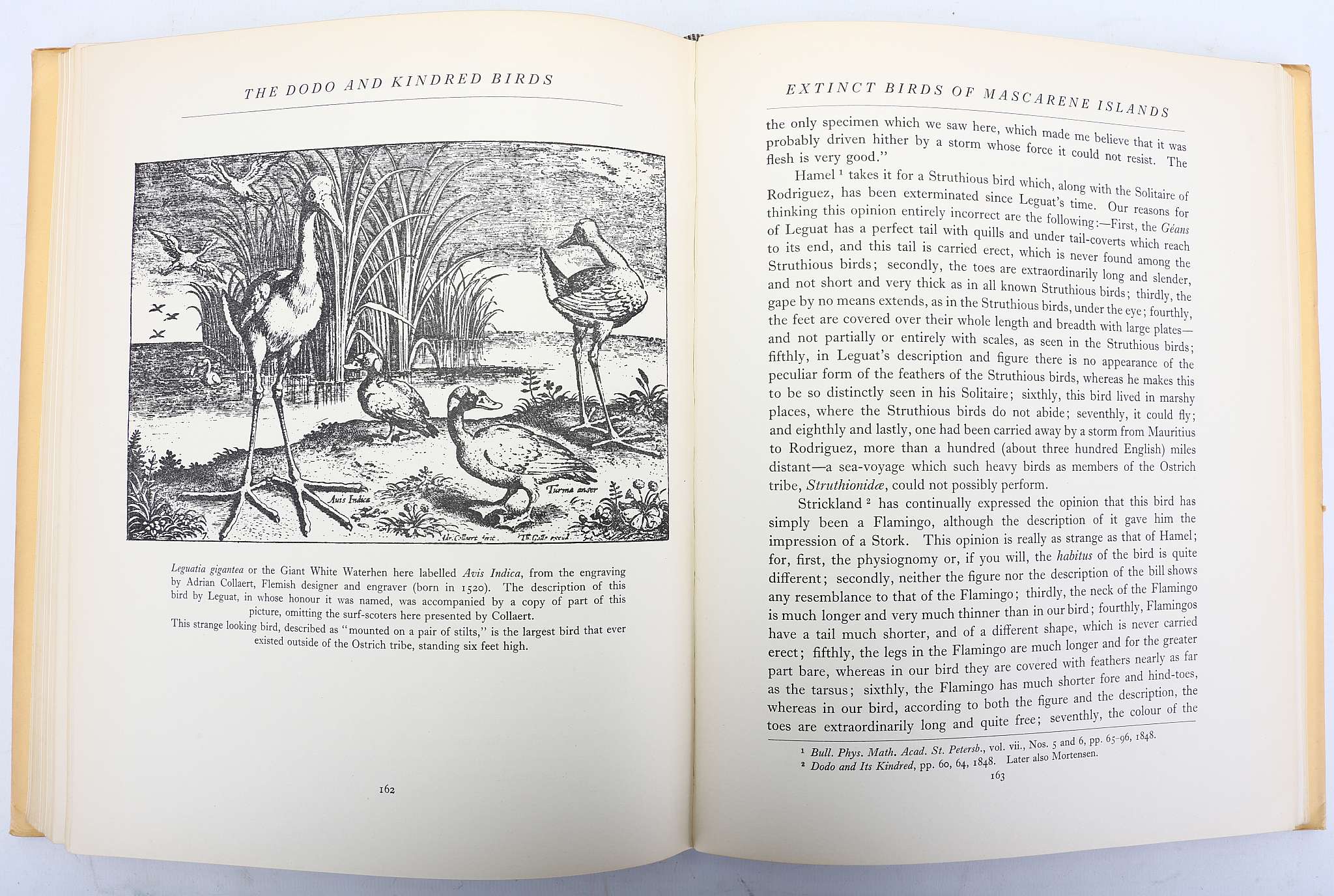 HACHISUKA, Masauji (1903-53).  The Dodo and Kindred Birds or The Extinct Birds of the Mascarene - Image 6 of 6