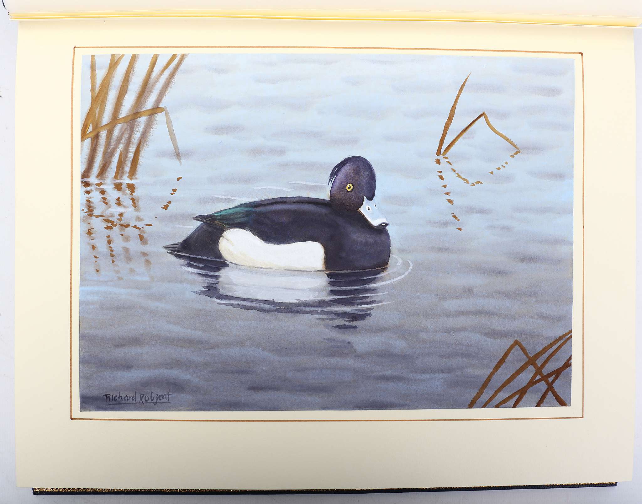 ROBJENT, Richard (b. 1937, illustrator) & Brian Philip MARTIN.  Sporting Wildfowl of the British - Image 3 of 6