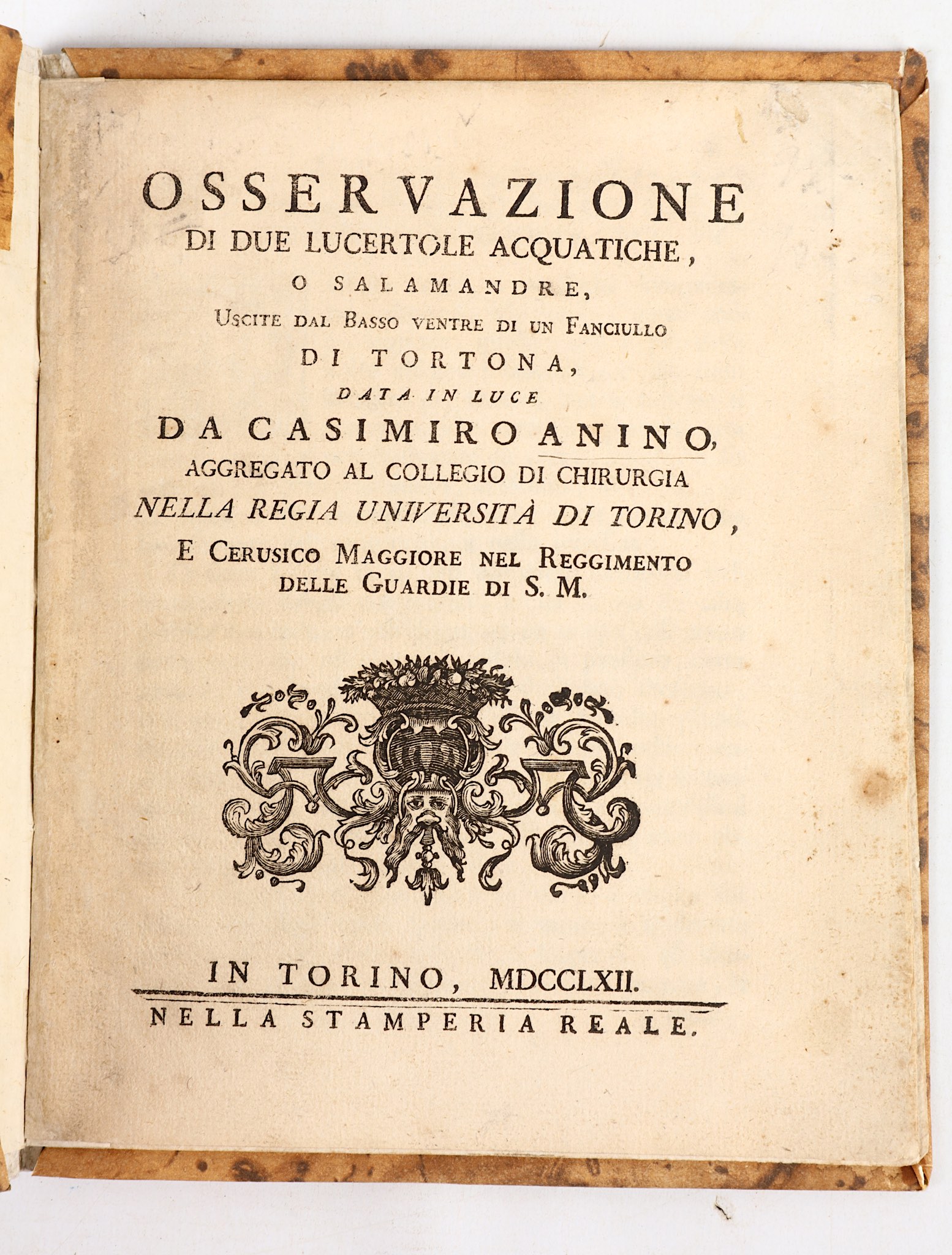 ANINO, Casimiro.  Osservazione di Due Lucertole Acquatiche, o Salamandre, uscite dal Basso Ventre - Image 2 of 4