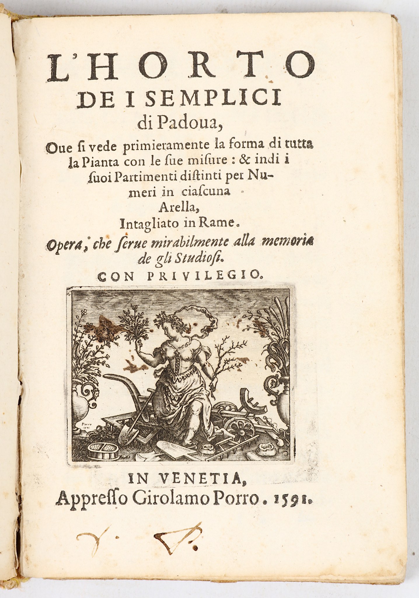 [CORTUSI, Giacomo Antonio (1513-1603)].  L’ Horto de I Semplici di Padova, Oue si vede - Image 3 of 7