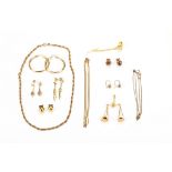 A group of jewellery, including six pairs of earrings, three chains, a pendant and a pin, three