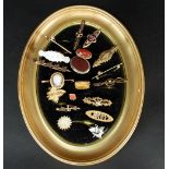 A quantity of various brooches and pins, predominantly gold mounted,