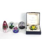 A Caithness glass paperweight 'Flower in Rain', boxed,