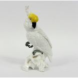 A Crown Staffordshire cockatoo by J T Jones with yellow crest, perched on a scrolling base,