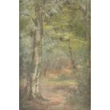 F A Collier/Woodland Landscape/signed and dated 1906/oil on canvas,