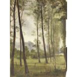 Henry William Banks Davis RA (British 1833-1914)/Avenue of Birch Trees/oil on paper, 35cm x 26.