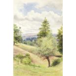 Isobel B Badcock/Landscape at Wookey/watercolour,