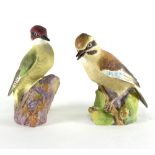 Two Royal Worcester bird figures, 'Jay' and 'Woodpecker',