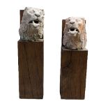 A pair of carved Vosges stone lion masks,