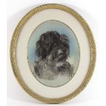 19th Century English School/Portrait of Tibetan Terrier/oval/pastel,