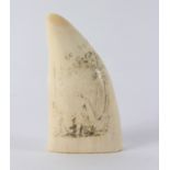 A scrimshaw tooth with a faded engraving and motto 'Erin Go Bragh',