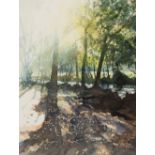 Jennifer Bailey (British, 20th Century)/First Sun/signed and dated '01/watercolour,