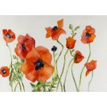 Sylvia Edwards/Study of Poppies/signed/watercolour,