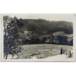 A collection of twenty one postcards of Sheepscombe and B.J.