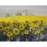 Jennifer Bailey (British, 20th Century)/Tuscan Morning/signed and dated '98/watercolour,