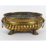 An early 19th Century Dutch brass oval jardinière with heavy gadrooned body,