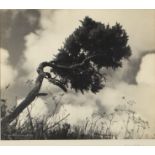 Mary E Cutler/Wild West Wind, Gevaluxe/signed in pencil/photograph, 26.