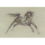 L Stevenson, 1978/Arab Stallion/signed, pastel,