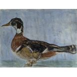 Leonard McComb (British, born 1930)/Duck/signed and dated 1993/watercolour,
