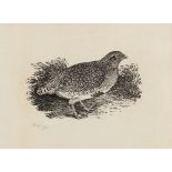 Thomas Berrick/Partridge/Lesser Redpole/one numbered 144/300/wood engravings,