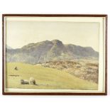Richard Redfern (British 1800-1900)/Mountain Landscape with Sheep/signed/watercolour,