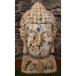 BUDDHA HEAD