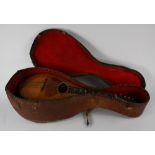 Stetson & Co. mandolin with case, 25"l