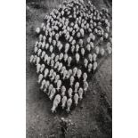 Jacko Vassilev (Bulgarian, b.1951), "The Flock," 1991, gelatin silver print, signed, titled and